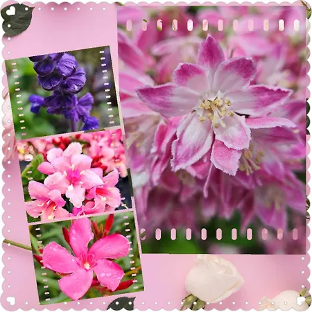 The Originals Access, Recouvrance Ouest