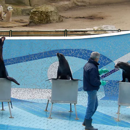 The Originals Access, Recouvrance Ouest * Saintes