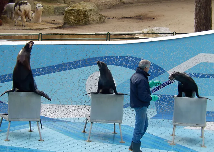 Premiere Classe * Saintes